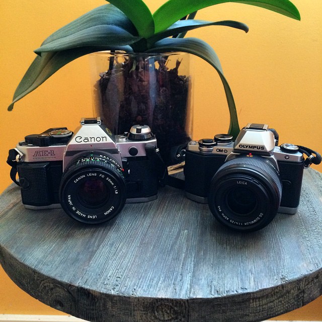 Canon AE-1 Program vs Olympus OM-D E-M10