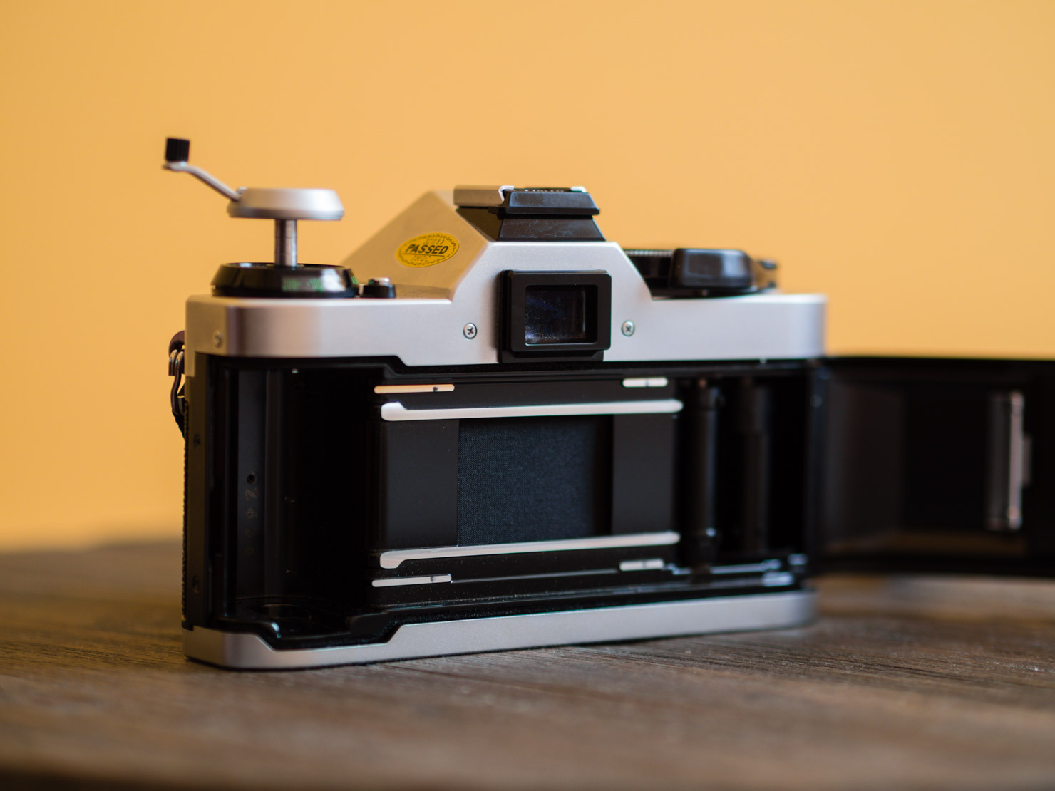 Back compartment and film holder