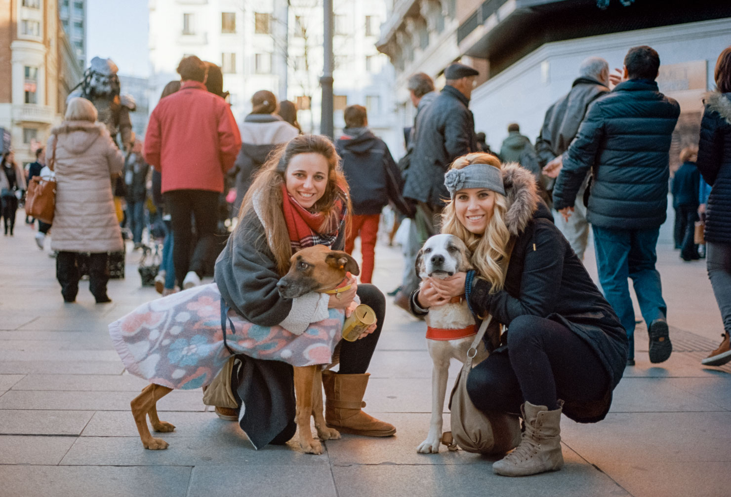 Adopt a Dog in Callao